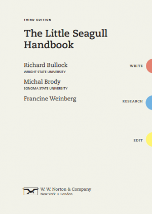 the seagull book of essays 4th edition